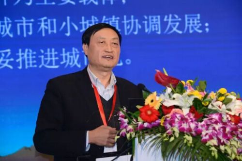 肖金成副會長:十三五時期的城鎮化與城市群發展