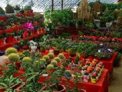 國務院關于同意在石家莊等24個城市設立  跨境電子商務綜合試驗區(qū)的批復