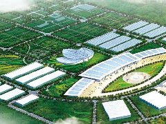 “壩區”引領產業興 “菜菇”滿園百姓笑