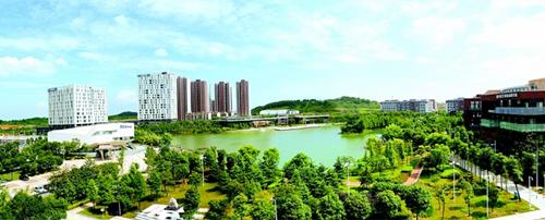 曹廣晶：東湖高新區為湖北省經濟發展做出重要貢獻