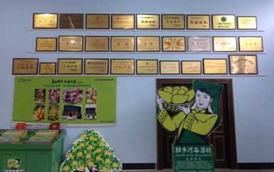 “芒果百色，香飄百地” 國內(nèi)首家芒果精深加工特色產(chǎn)業(yè)基地申報(bào)進(jìn)行時(shí)