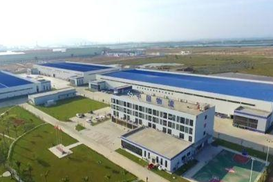 陽江高新區：打造高質量發展的強大引擎