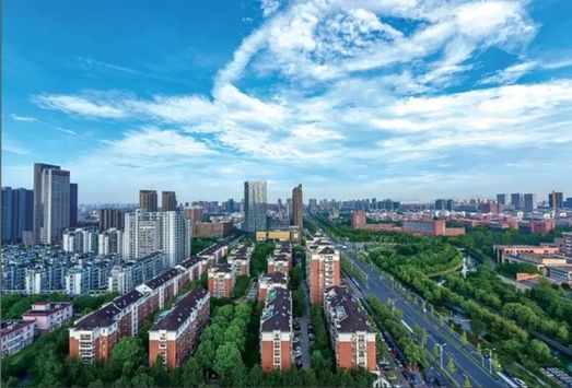 嘉興經開區大力推進“綠城花?！苯ㄔO