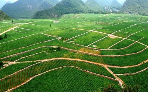 農(nóng)村土地承包法大修帶來(lái)鄉(xiāng)村振興新動(dòng)能