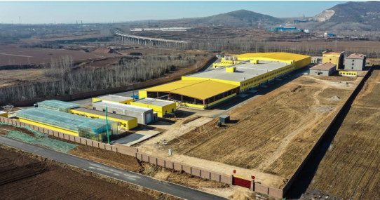 錦繡“五彩農業”，高平市爭創國家 現代農業產業園吹響集結號