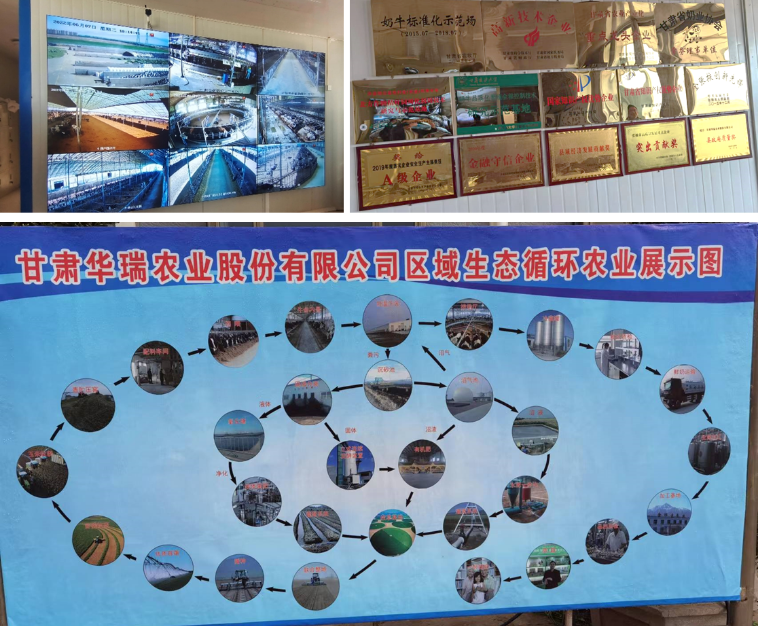 加強農(nóng)業(yè)產(chǎn)業(yè)布局規(guī)劃，民樂縣向農(nóng)業(yè)強縣進發(fā)